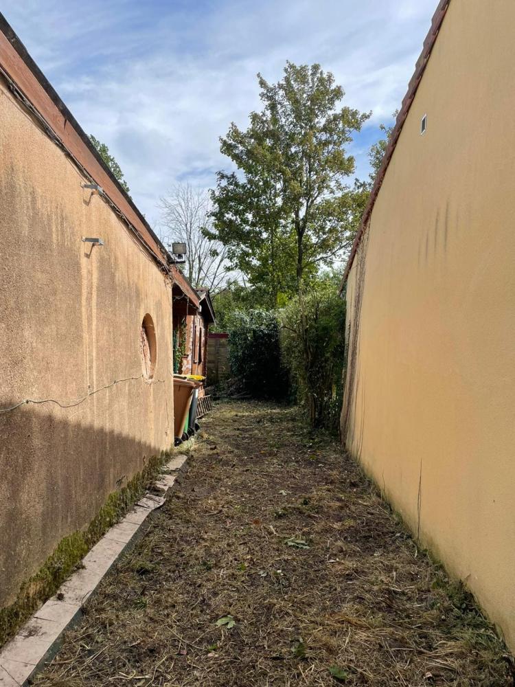 Entreprise élagage arbre Dunkerque