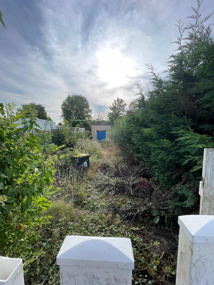 Entreprise élagage arbre Calais