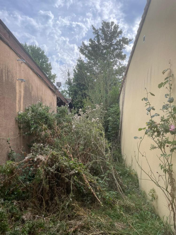 Entreprise élagage arbre Boulogne-sur-Mer