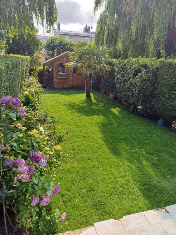 Création jardin Wissant